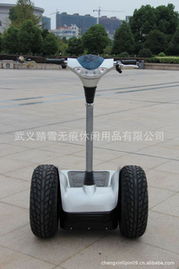 永康市踏雪無(wú)痕休閑用品有限公司——電動(dòng)觀光車產(chǎn)品列表與休閑觀光活動(dòng)